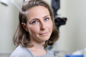 Birgit Högl Mag.a Birgit Högl